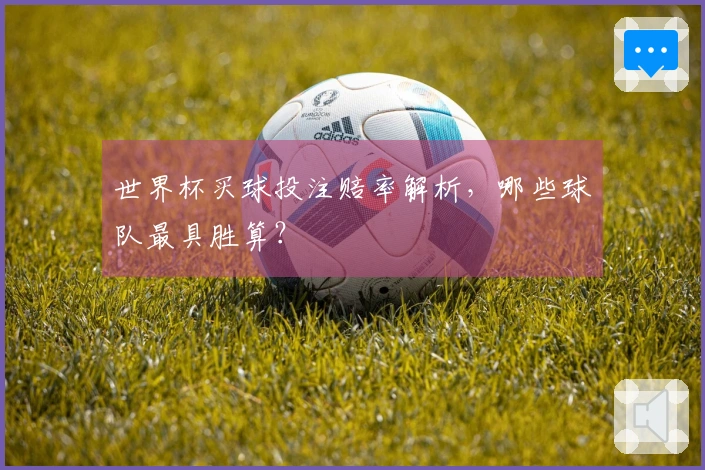 世界杯买球投注赔率解析，哪些球队最具胜算？