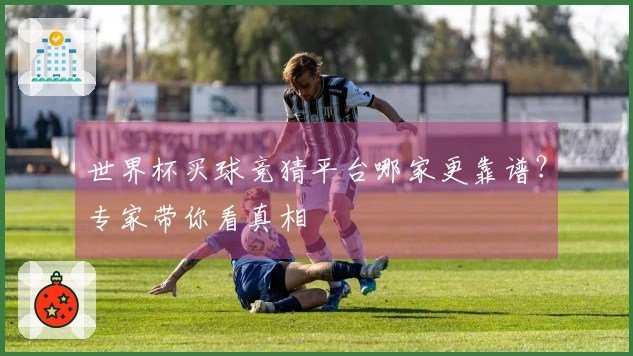 世界杯买球竞猜平台哪家更靠谱？专家带你看真相