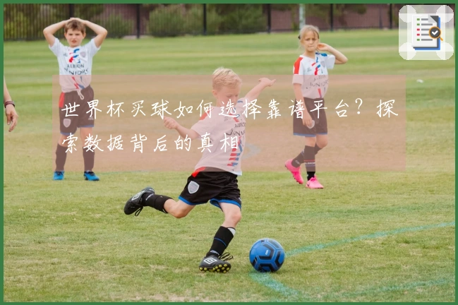世界杯买球如何选择靠谱平台？探索数据背后的真相