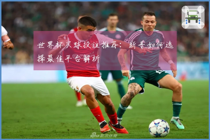 世界杯买球投注推荐：新手如何选择最佳平台解析