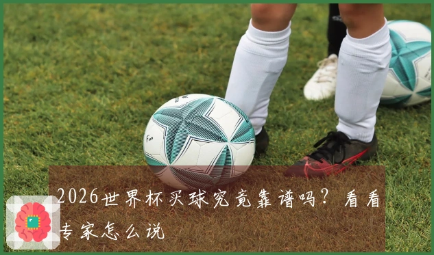 2026世界杯买球究竟靠谱吗？看看专家怎么说